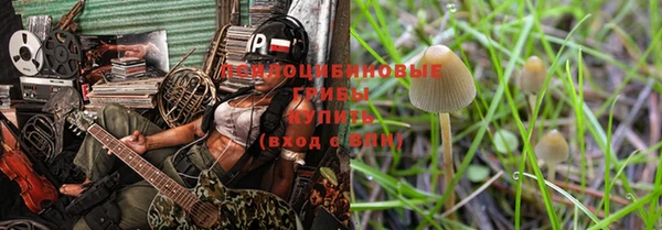 шишки Вязьма