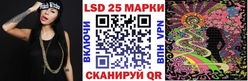 Купить закладки  Новоузенск  Наркотические марки 1,5мг 