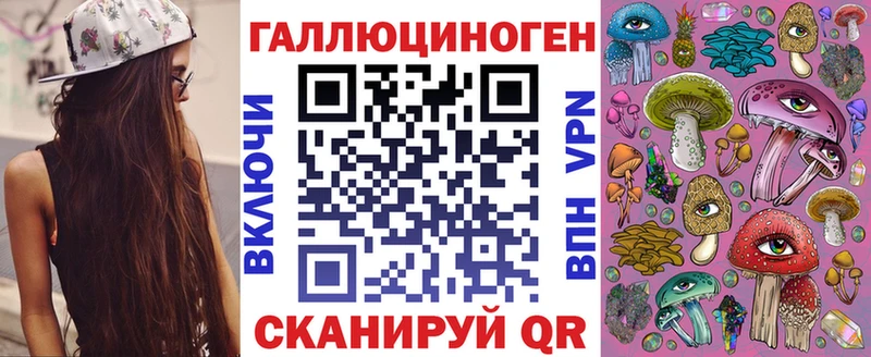 Купить закладки  Новоузенск  Псилоцибиновые грибы Psilocybine cubensis 